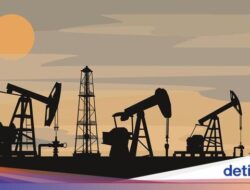 Penemuan Cadangan Migas Baru Pertamina Terbesar dalam 15 Tahun