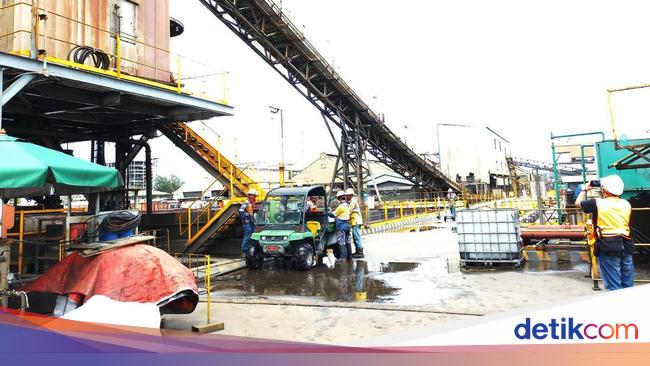 Studi FEB UI Membongkar Pentingnya Hilirisasi untuk Mewujudkan Indonesia Emas 2045